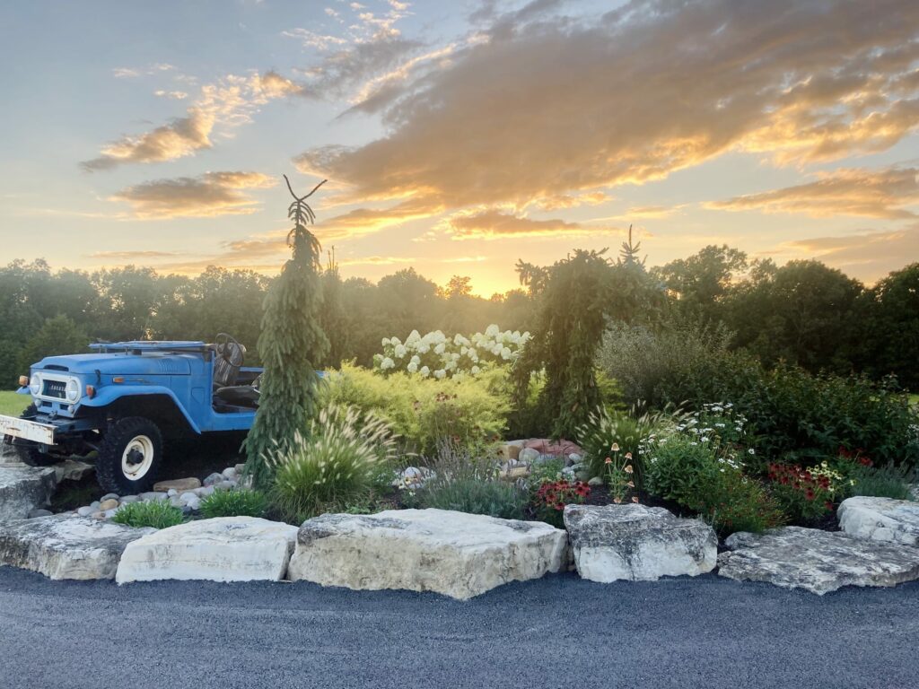Front yard landscaping bed with antique jeep